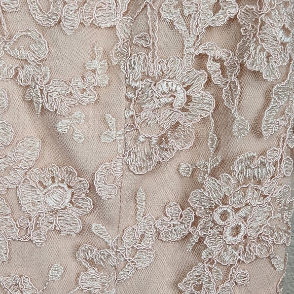 Calvin Klein Light Petal Pink Bridesmaid Formal Lace A-Line Dress Women's Size 6 - Picture 11 of 15